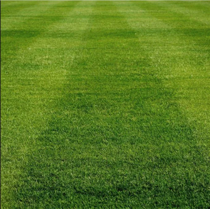 Trusted landscaping services for homes in Ennis, TX by Bama's Landscaping