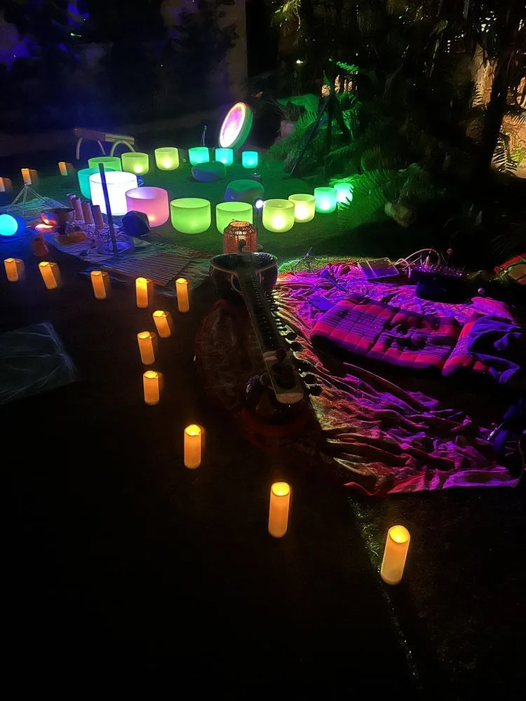 Trusted yard maintenance experts serving Davie, FL - Bamboo And Orchid Gardens