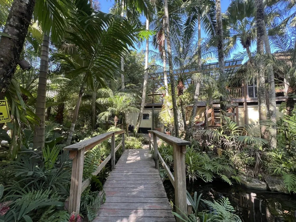 Affordable yard cleanup service in Davie, FL - Bamboo And Orchid Gardens