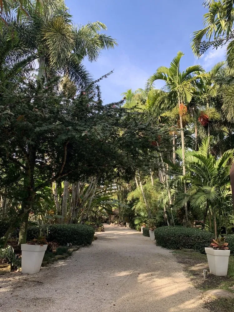 Affordable lawn care service experts serving Davie, FL - Bamboo And Orchid Gardens