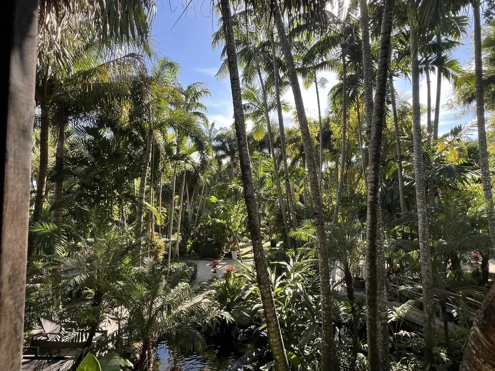 Expert landscape installation in Davie, FL by Bamboo And Orchid Gardens