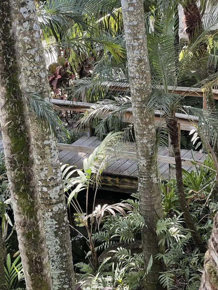 Reliable lawn mowing service experts serving Davie, FL - Bamboo And Orchid Gardens