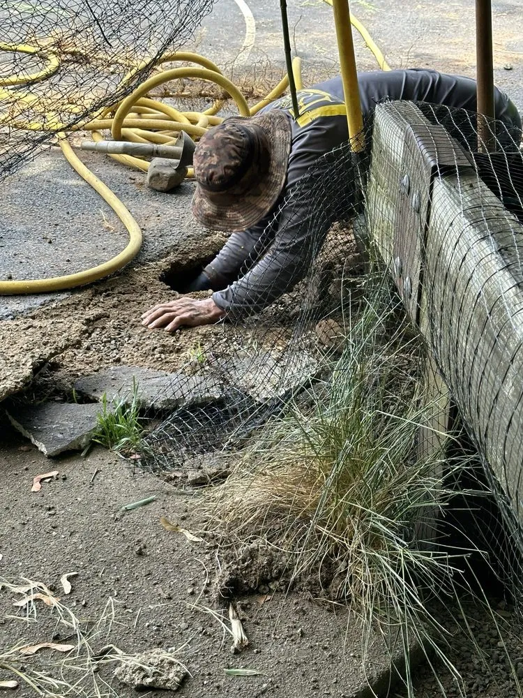 Top-rated outdoor landscaping in Whippany, NJ by Bamboo Bob