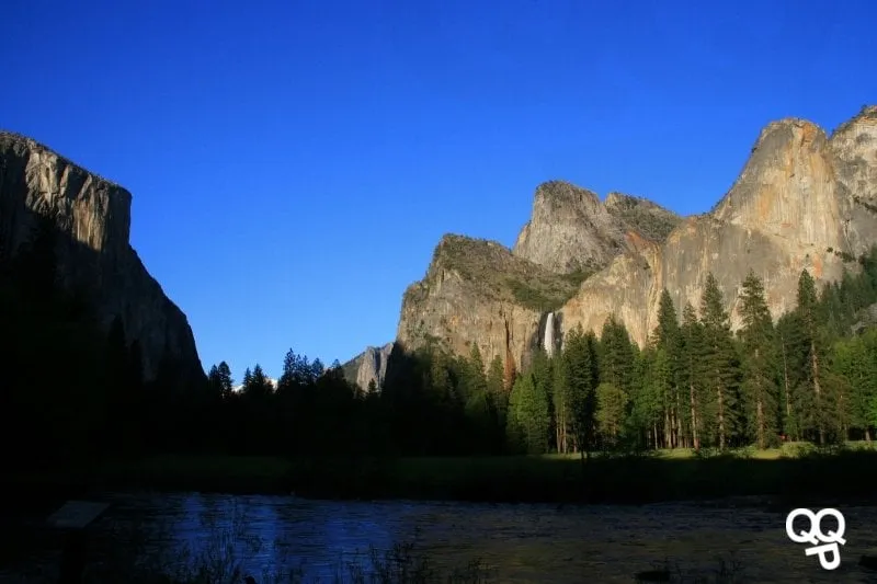 Top-rated yard maintenance in Whippany, NJ - Bamboo Bob