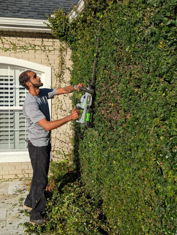 Reliable landscaping services experts serving Ocala, FL - Bamboo Express