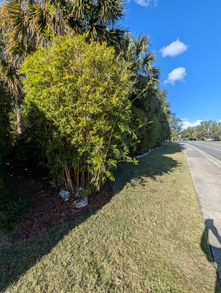 Custom garden landscaping for residential properties in Ocala, FL by Bamboo Express