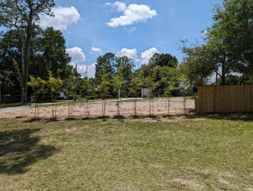 Professional landscape design near you across Ocala, FL - Bamboo Express