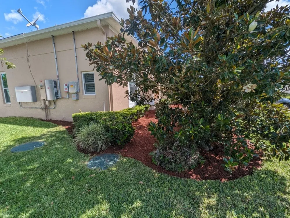 Local lawn mowing service for residential properties across Ocala, FL - Bamboo Express