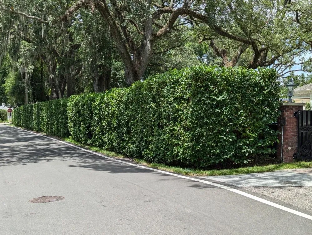 Local lawn mowing service with custom design in Ocala, FL by Bamboo Express