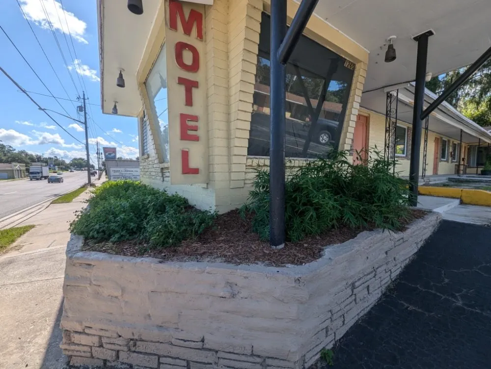 Local lawn care service experts serving Ocala, FL - Bamboo Express