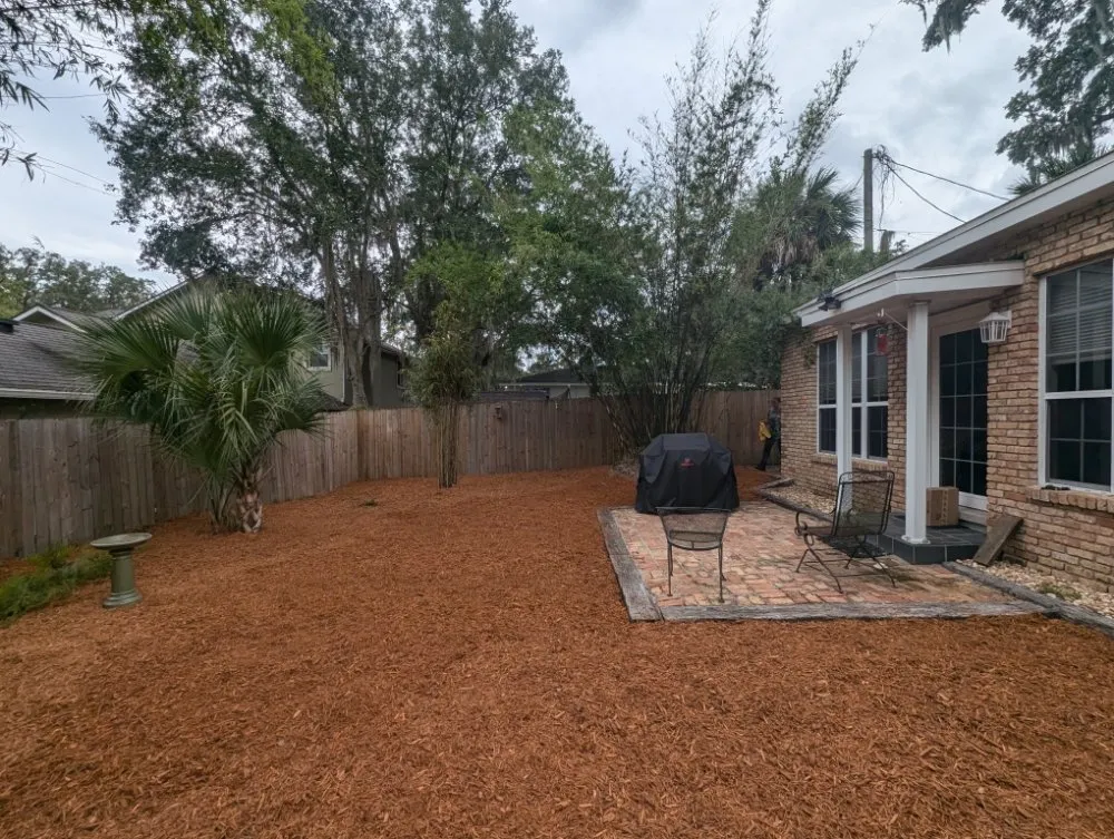 Top-rated landscaping services experts serving Ocala, FL - Bamboo Express