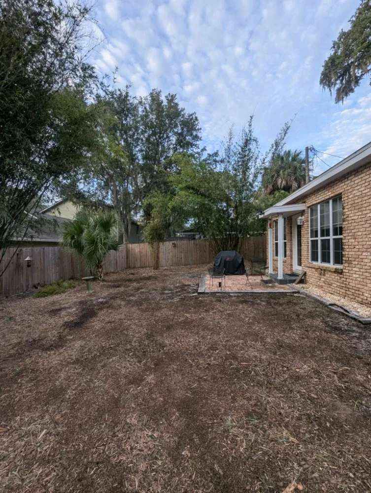 Trusted yard cleanup service in Ocala, FL - Bamboo Express