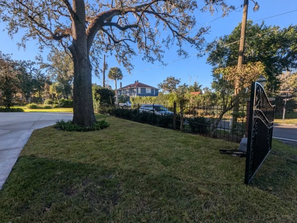 Top-rated outdoor landscaping experts serving Ocala, FL - Bamboo Express