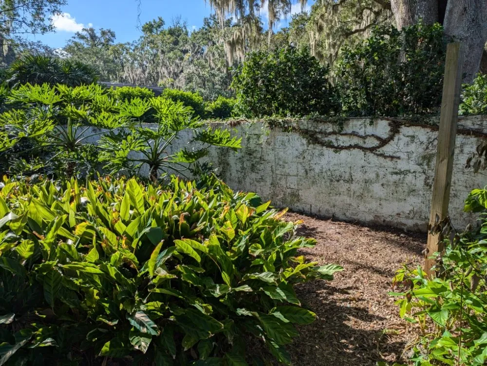 Affordable residential landscaping in Ocala, FL by Bamboo Express