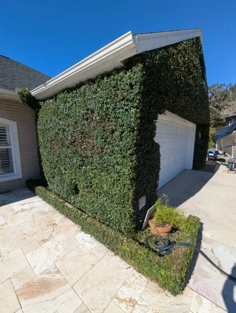 Reliable landscaping services for homes across Ocala, FL - Bamboo Express