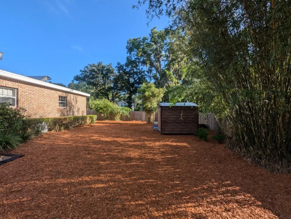 Trusted landscaping services in Ocala, FL by Bamboo Express