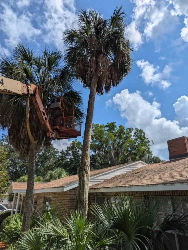 Trusted landscape installation in Ocala, FL - Bamboo Express