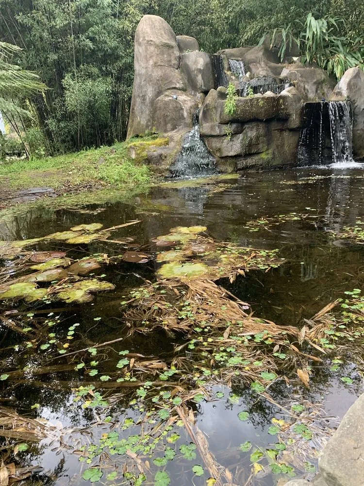 Local yard maintenance for homes across Aptos, CA - Bamboo Giant Nursery and Gardens