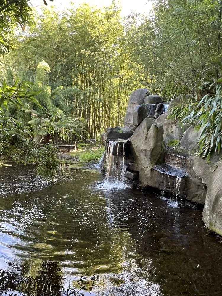 Professional landscape installation in Aptos, CA by Bamboo Giant Nursery and Gardens