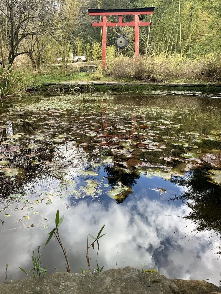 Affordable landscape design experts serving Aptos, CA - Bamboo Giant Nursery and Gardens