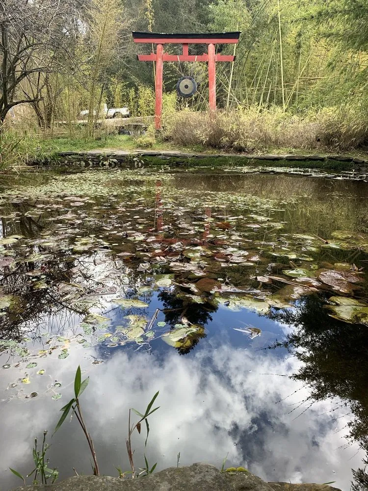Affordable yard maintenance in Aptos, CA - Bamboo Giant Nursery and Gardens