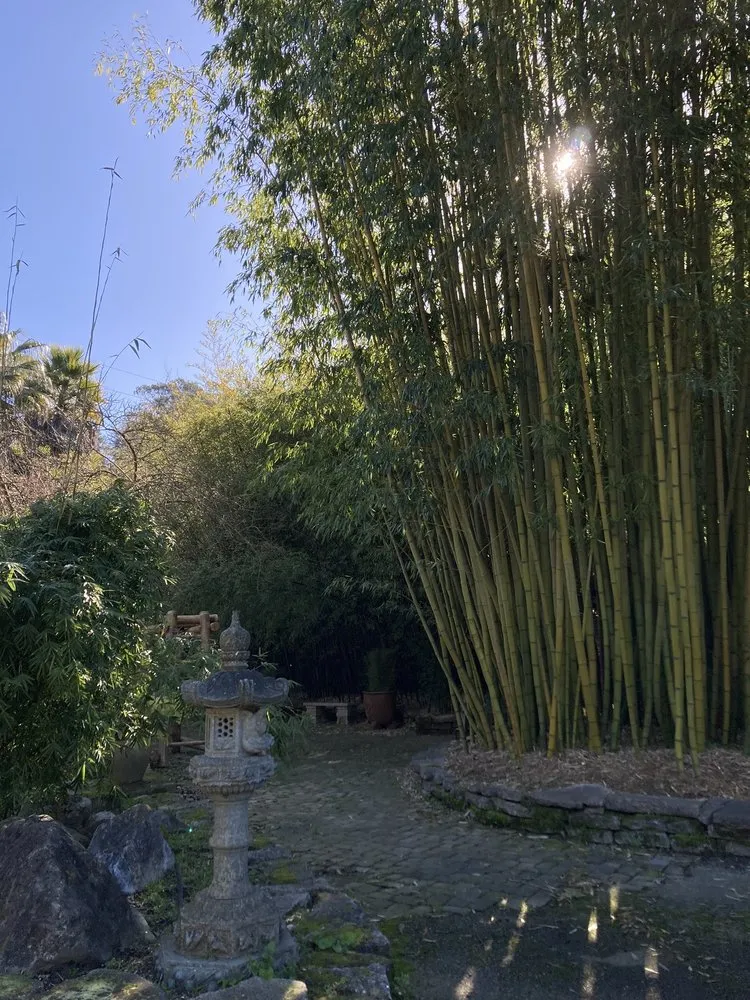 Custom garden landscaping in Aptos, CA - Bamboo Giant Nursery and Gardens
