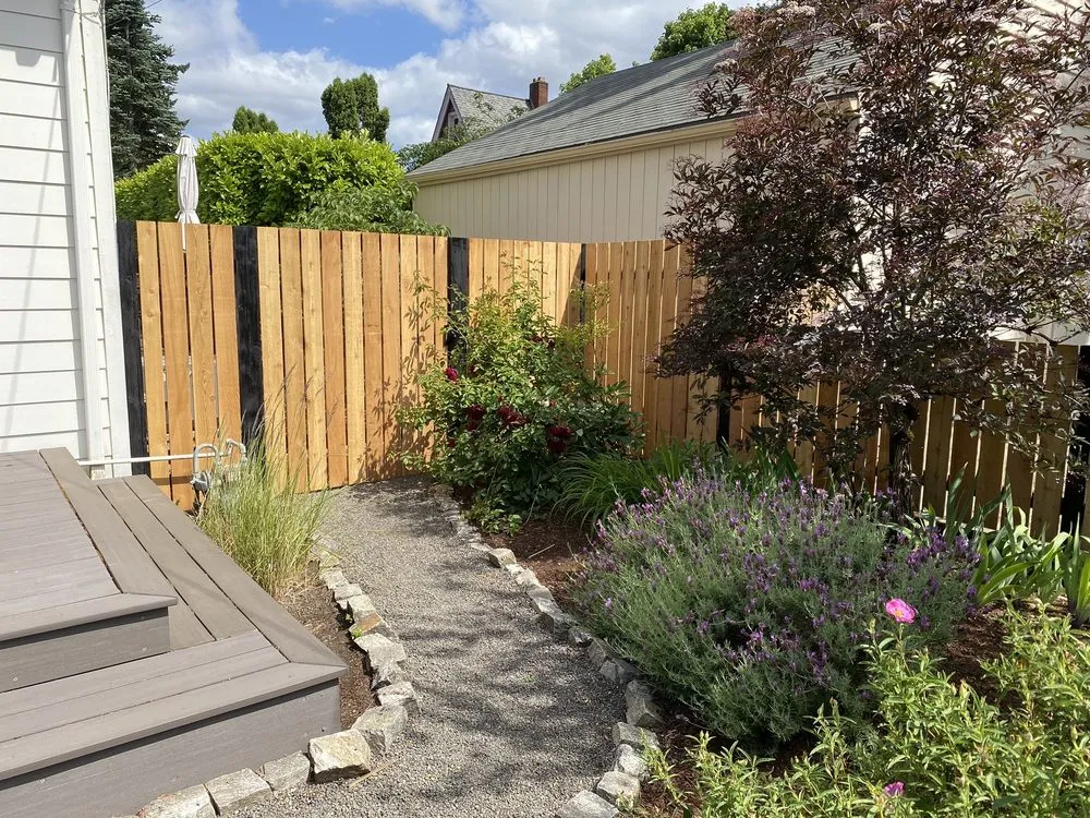 Affordable residential landscaping in Portland, OR - Bamboo Grove