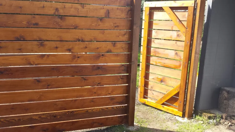 Local garden landscaping in Portland, OR - Bamboo Grove