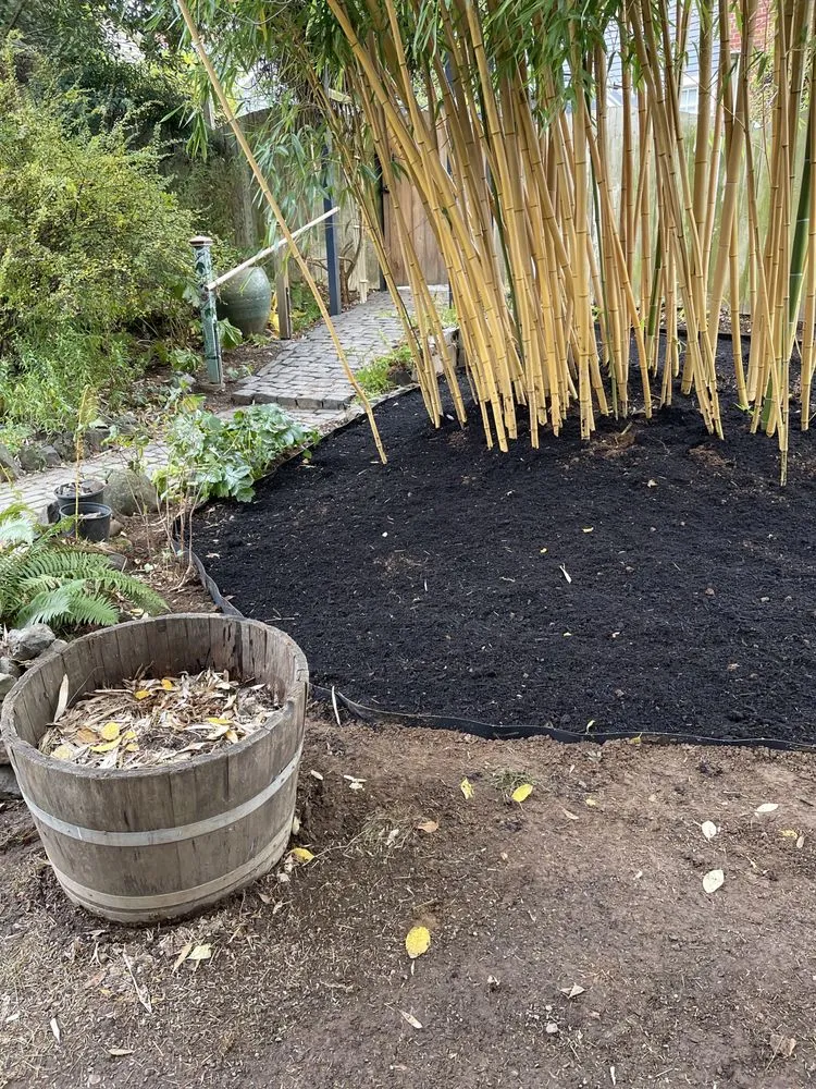 Trusted outdoor landscaping with custom design across Hillsboro, OR - Bamboo Paradise Landscape Nursery