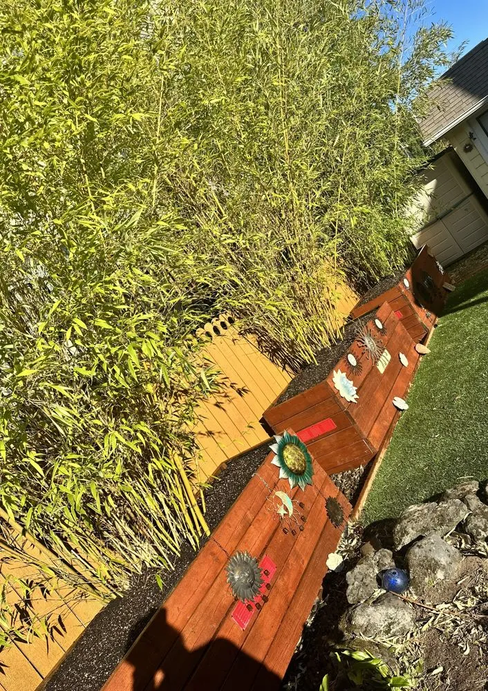 Professional outdoor landscaping in Hillsboro, OR by Bamboo Paradise Landscape Nursery
