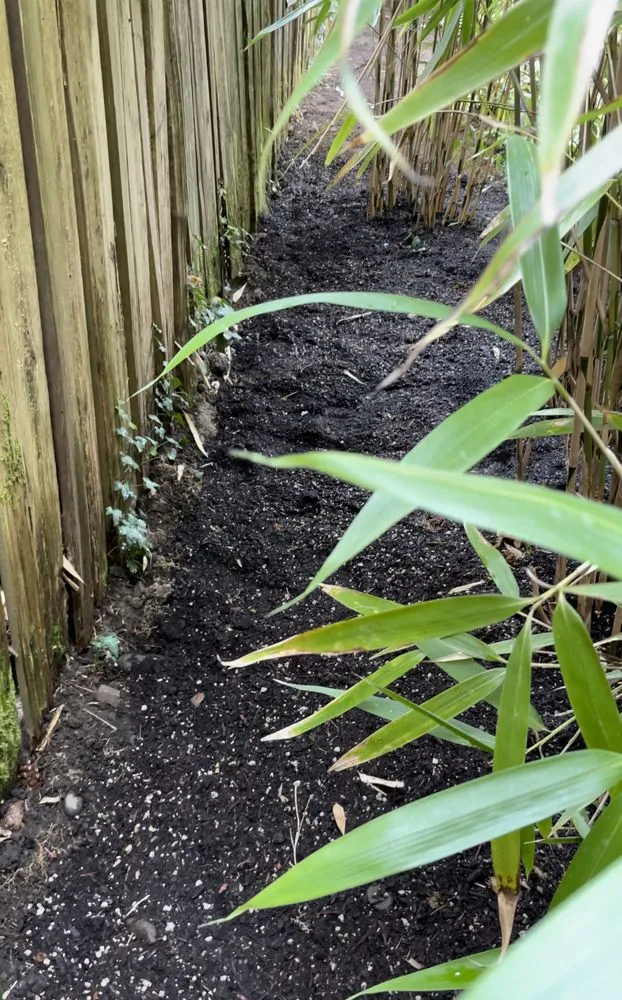 Custom landscaping services in Hillsboro, OR - Bamboo Paradise Landscape Nursery