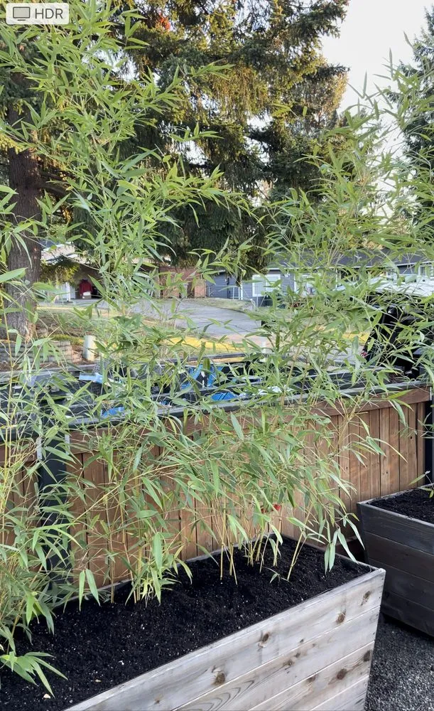 Trusted residential landscaping experts serving Hillsboro, OR - Bamboo Paradise Landscape Nursery