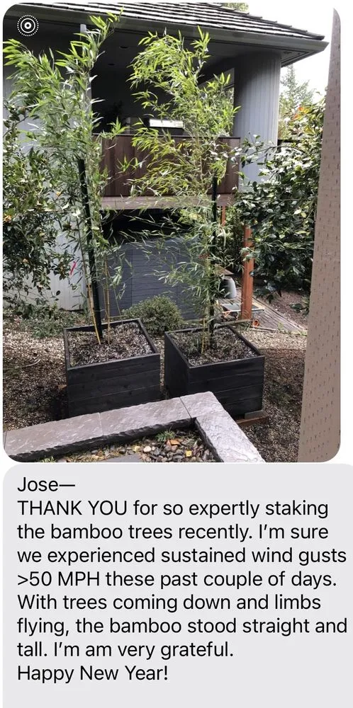 Top-rated landscaping services experts serving Hillsboro, OR - Bamboo Paradise Landscape Nursery