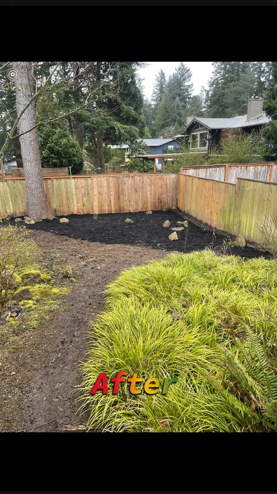 Professional lawn care service in Hillsboro, OR - Bamboo Paradise Landscape Nursery