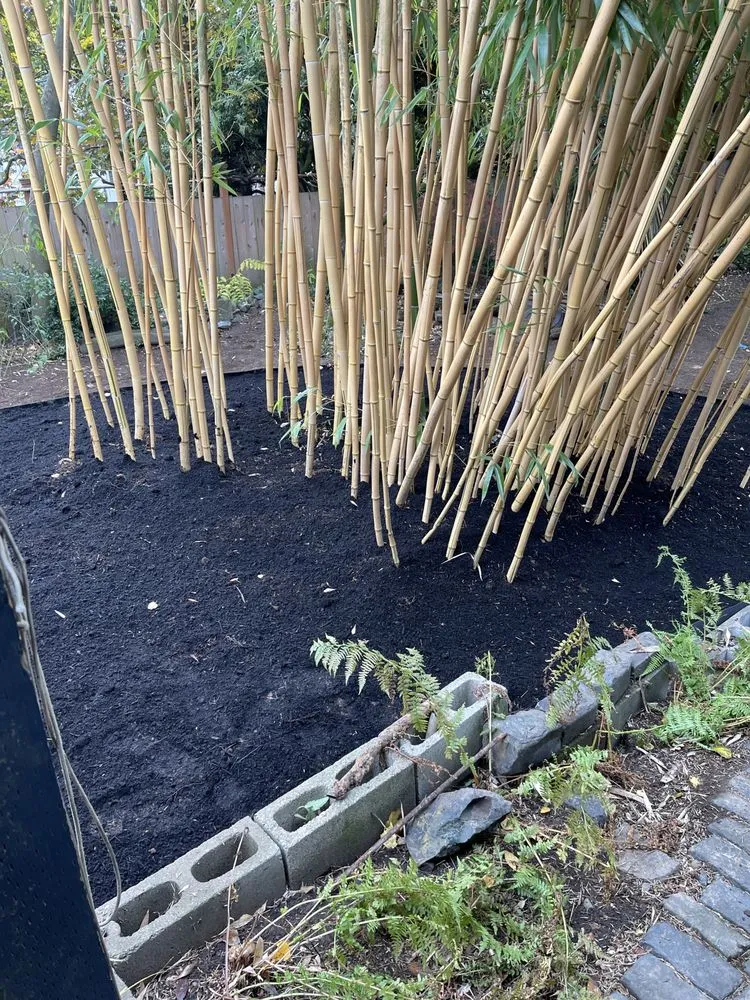 Trusted residential landscaping for homes in Hillsboro, OR by Bamboo Paradise Landscape Nursery