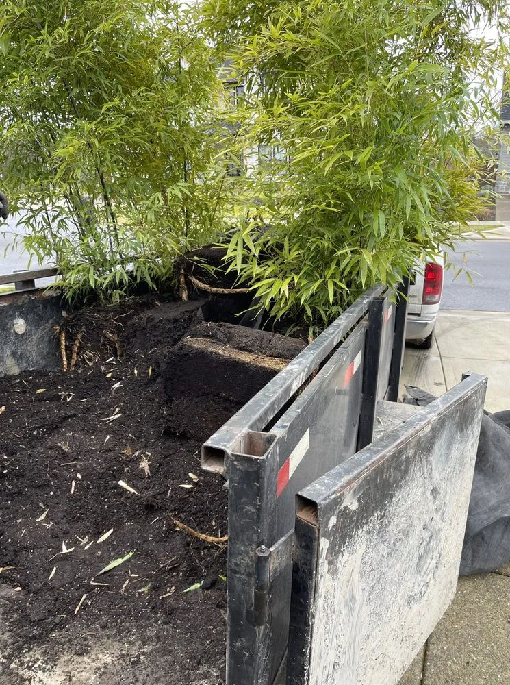 Local landscape design for residential properties in Hillsboro, OR by Bamboo Paradise Landscape Nursery