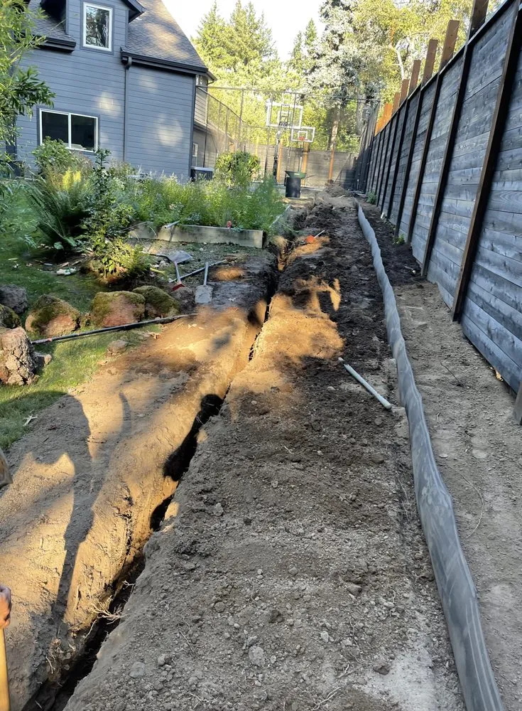 Professional landscaping services for year-round maintenance across Hillsboro, OR - Bamboo Paradise Landscape Nursery