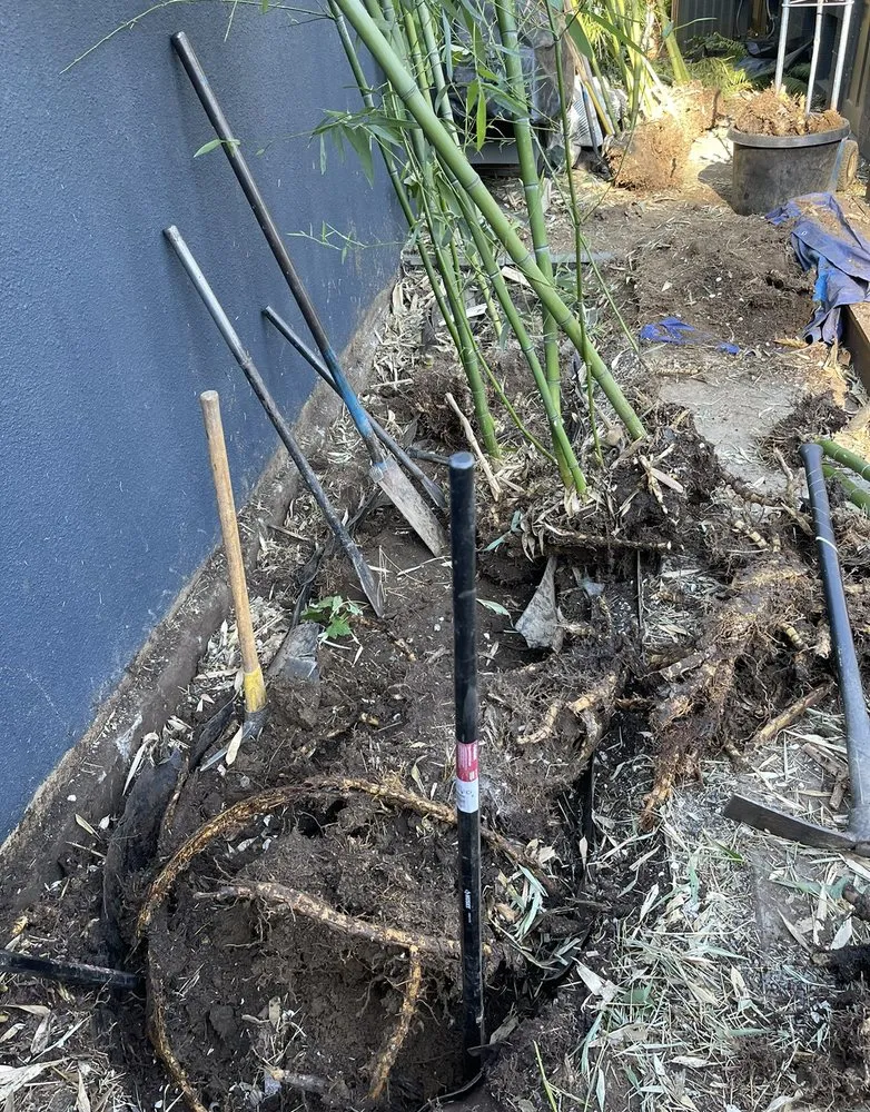 Affordable landscape design for outdoor upgrades across Hillsboro, OR - Bamboo Paradise Landscape Nursery