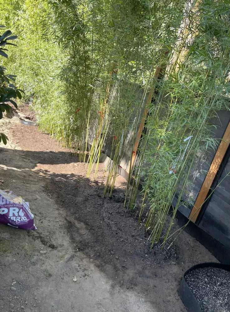 Affordable landscape installation in Hillsboro, OR - Bamboo Paradise Landscape Nursery