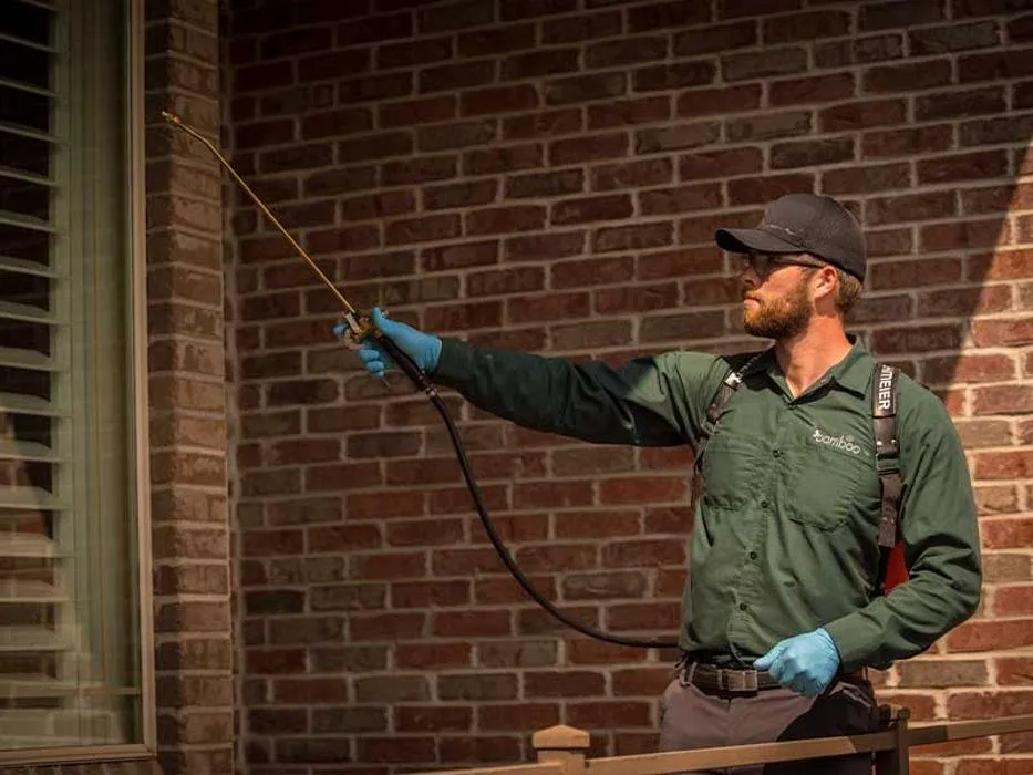 Top-rated outdoor landscaping experts serving Fort Wayne, IN - Bamboo Pest Control and Mosquito