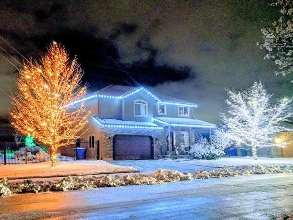 Professional yard cleanup service with custom design across Fort Wayne, IN - Bamboo Pest Control and Mosquito