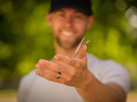 Bamboo Pest Control and Mosquito Logo