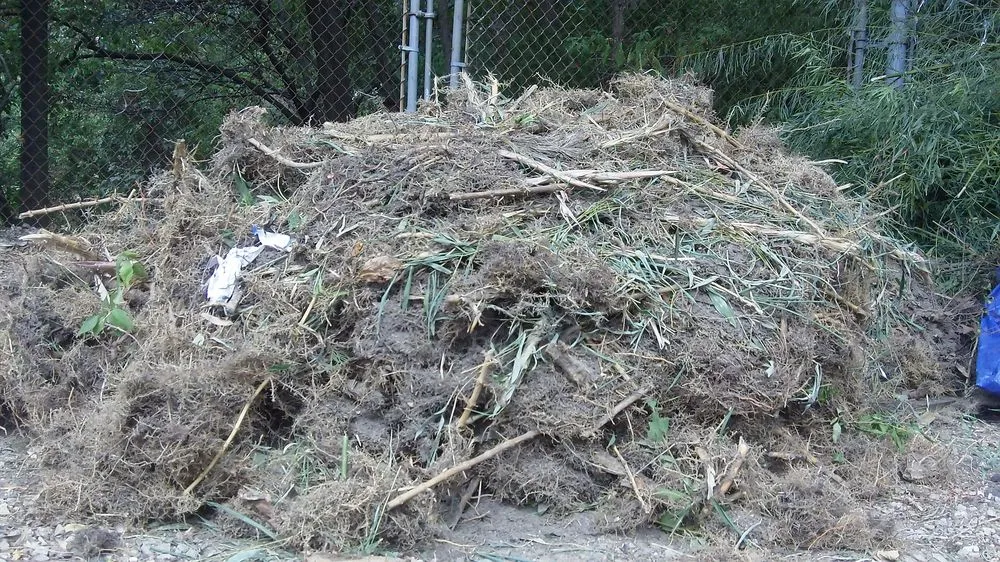 Trusted residential landscaping for residential properties in Greenlawn, NY by Bamboo Removal