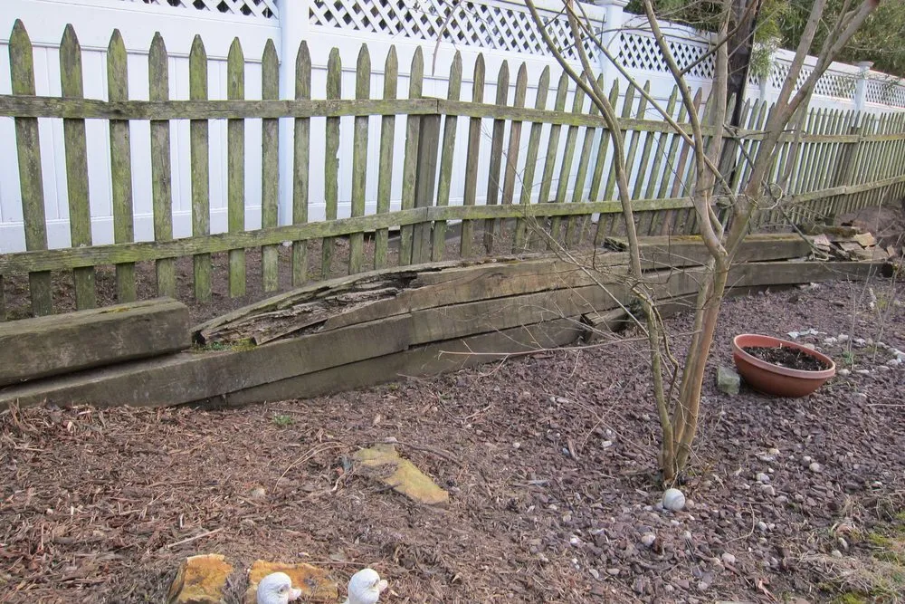 Local residential landscaping experts serving Greenlawn, NY - Bamboo Removal