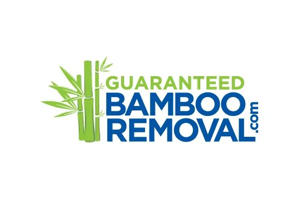 Affordable yard maintenance for outdoor upgrades across Greenlawn, NY - Bamboo Removal