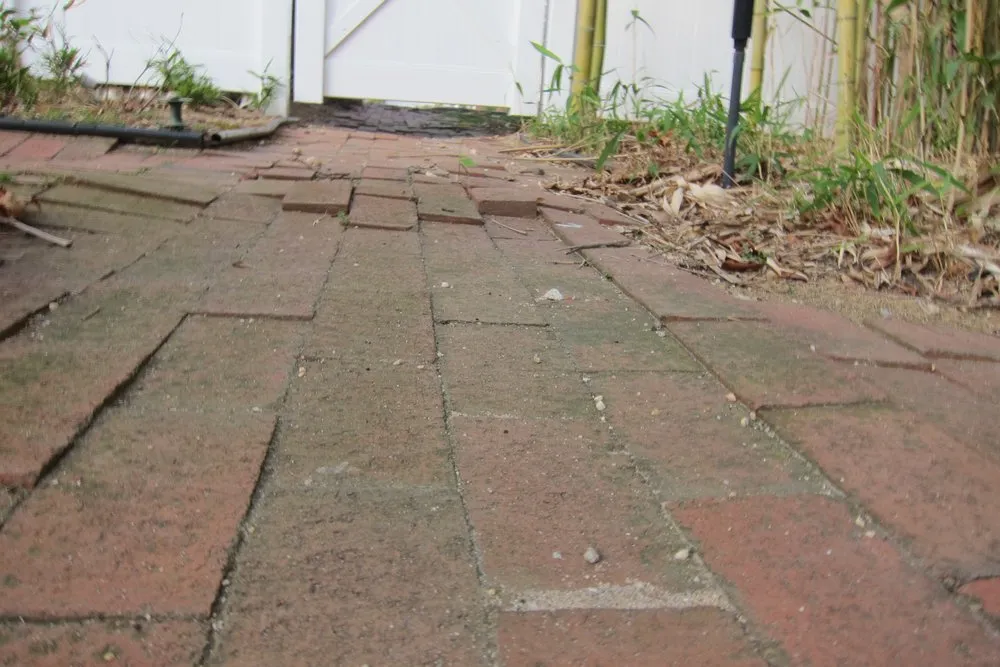 Custom lawn care service for year-round maintenance in Greenlawn, NY by Bamboo Removal