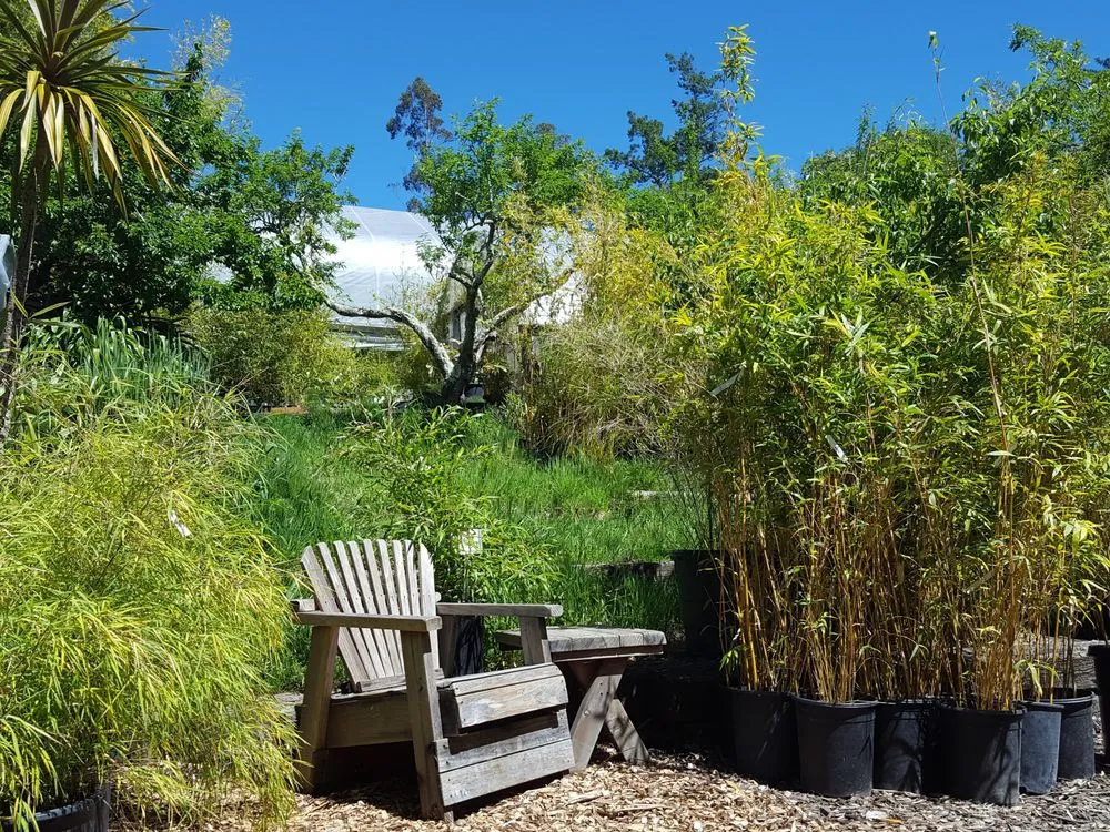 Affordable lawn care service with custom design across Sebastopol, CA - Bamboo Sourcery Nursery & Gardens