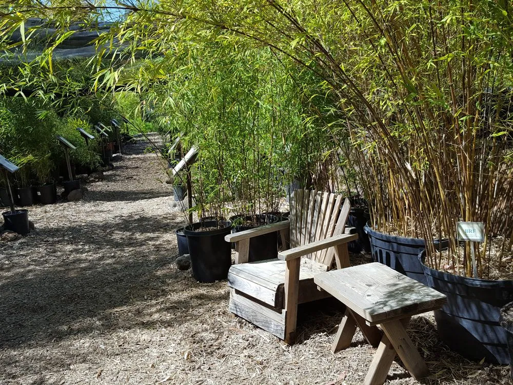 Professional landscape installation in Sebastopol, CA by Bamboo Sourcery Nursery & Gardens