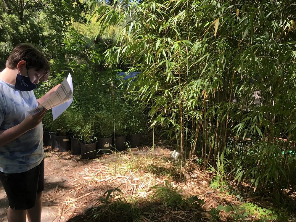 Reliable lawn mowing service in Sebastopol, CA by Bamboo Sourcery Nursery & Gardens