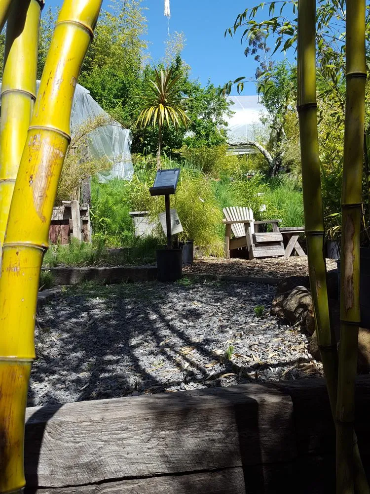 Professional lawn mowing service experts serving Sebastopol, CA - Bamboo Sourcery Nursery & Gardens